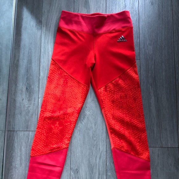 LEGGINGS - Picture 3 of 5